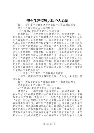 安全生产监察大队个人总结