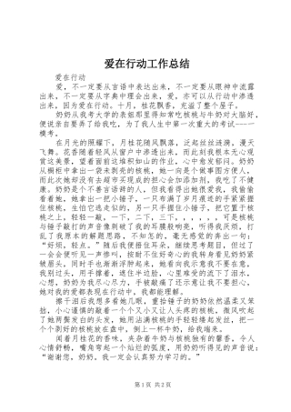 爱在行动工作总结