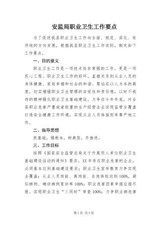 安监局职业卫生工作要点