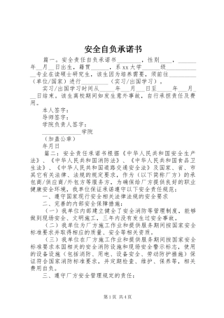 安全自负承诺书