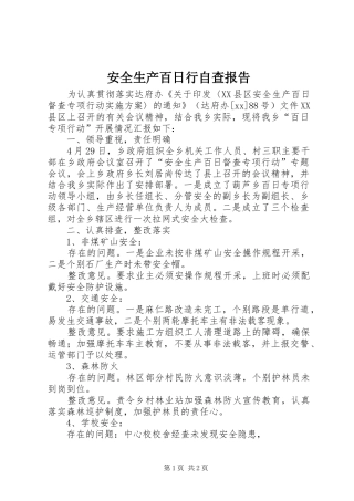 安全生产百日行自查报告