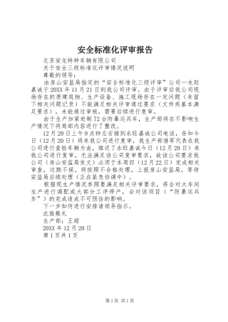 安全标准化评审报告