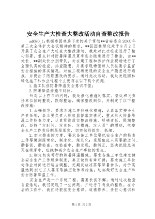安全生产大检查大整改活动自查整改报告
