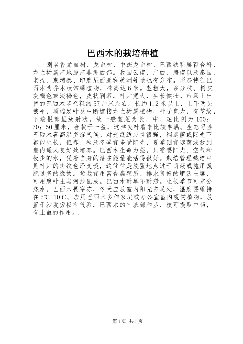巴西木的栽培种植_第1页