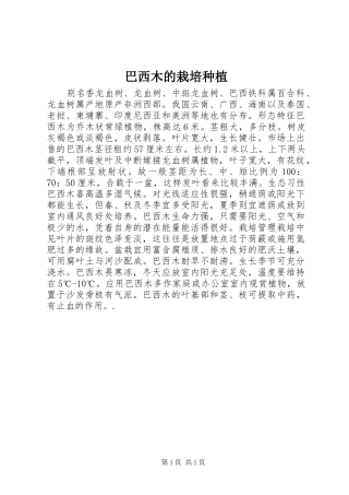 巴西木的栽培种植