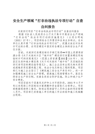 安全生产领域打非治违执法专项行动自查自纠报告