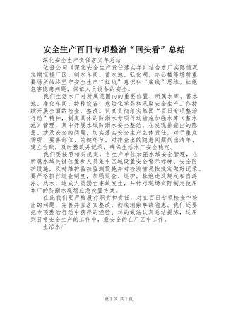 安全生产百日专项整治回头看总结