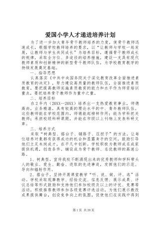 爱国小学人才递进培养计划