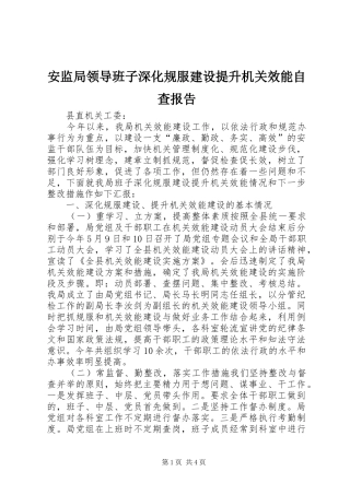 安监局领导班子深化规服建设提升机关效能自查报告