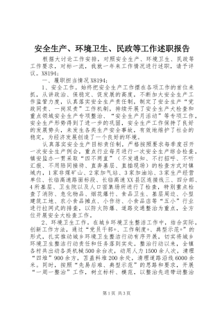 安全生产环境卫生民政等工作述职报告