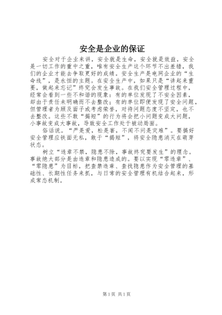 安全是企业的保证