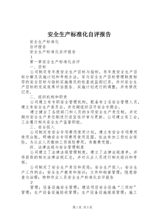 安全生产标准化自评报告