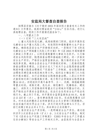 安监局大督查自查报告