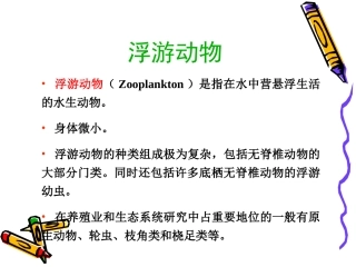 原生动物轮虫课件