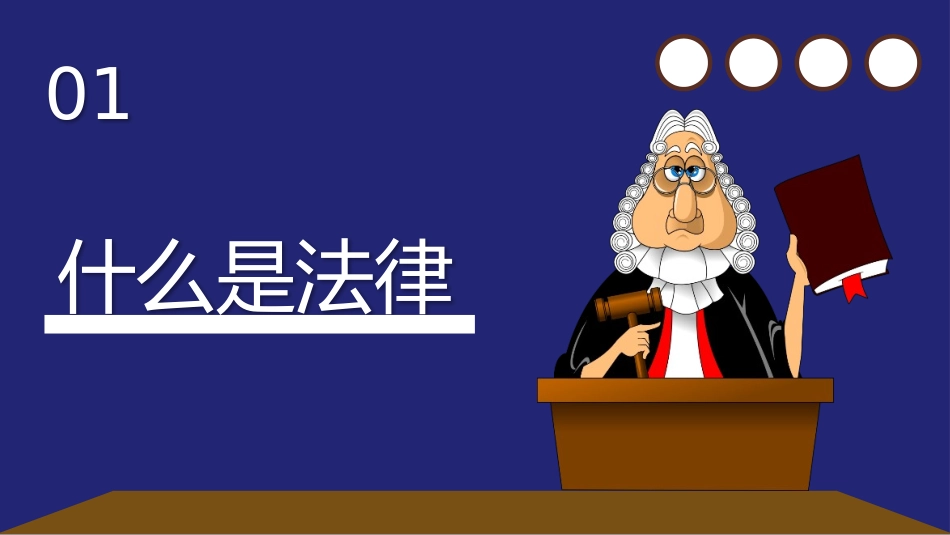 小学生法律知识培训课件_第3页