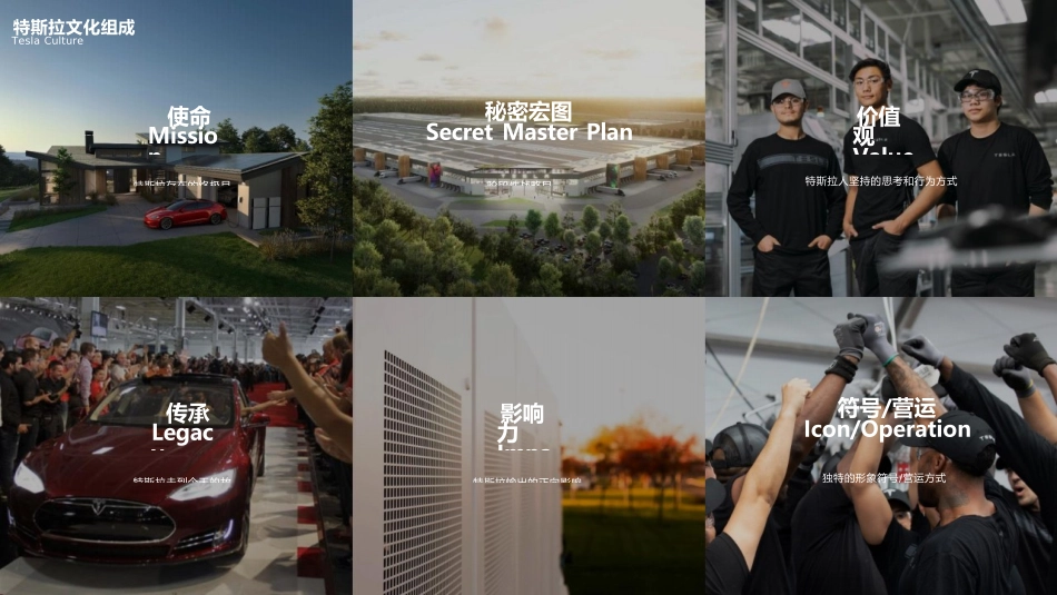特斯拉文化手册_第3页