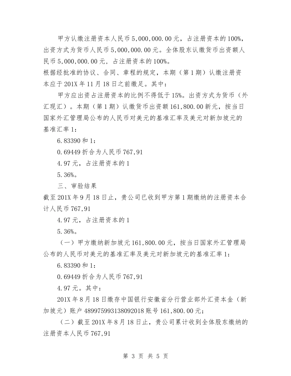 外资企业验资报告_第3页