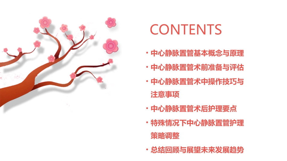 2024版中心静脉置管护理_第2页