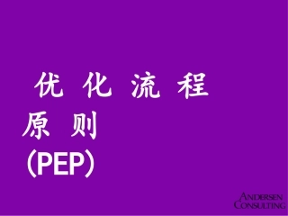 优化流程原则EP埃森哲