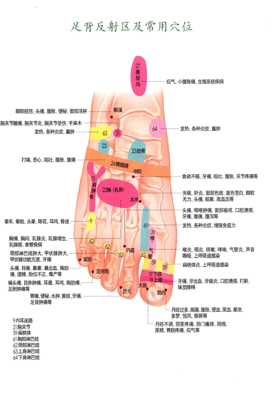 经络位传统疗法全书_第2页