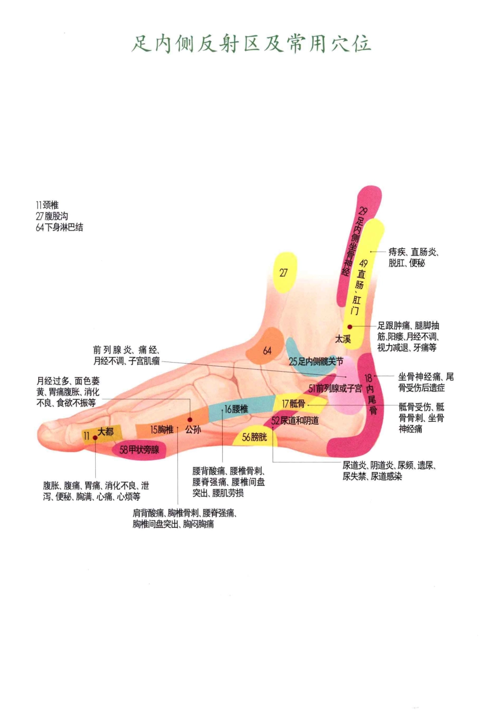 经络位传统疗法全书_第3页