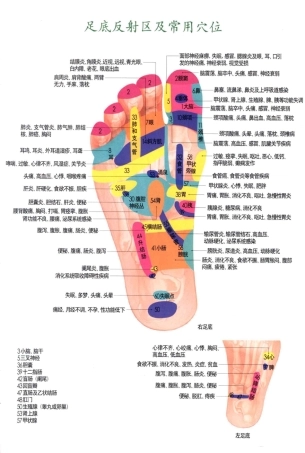 经络位传统疗法全书