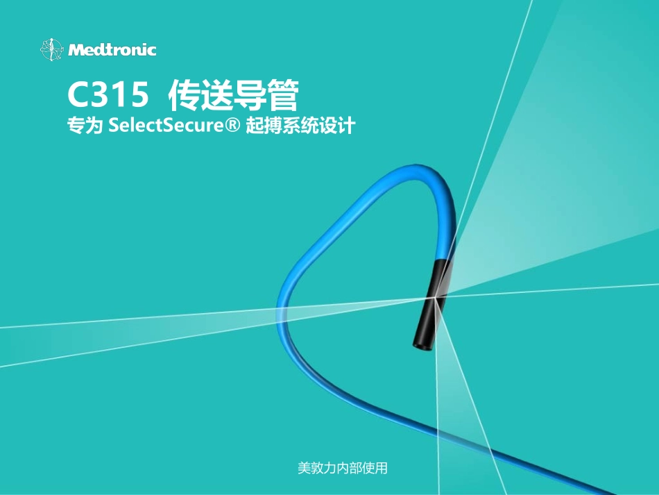 C315 传送导管完整课件_第1页