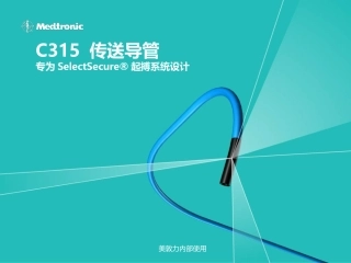 C315 传送导管完整课件