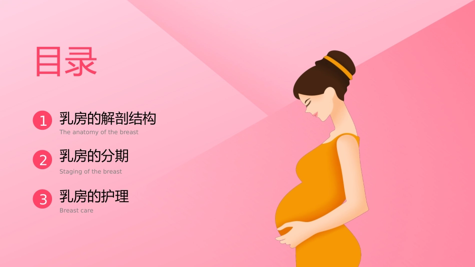 乳房护理相关知识培训_第2页