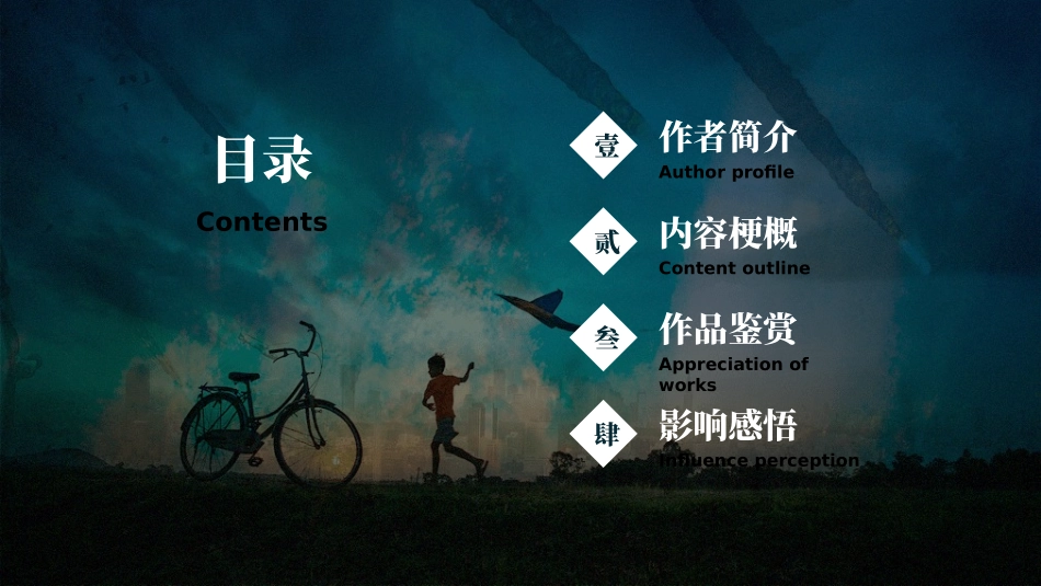 《追风筝的人》名著导读好书推荐_第2页