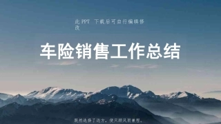车险行业销售工作总结模板