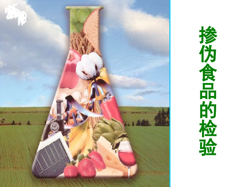 掺伪食品的检验._第1页
