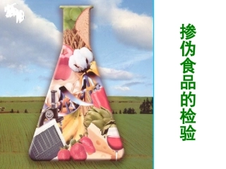 掺伪食品的检验.