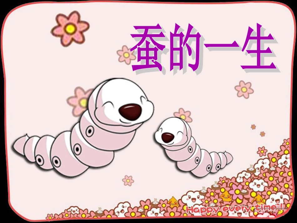 蚕的一生课件_第1页