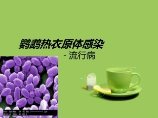 鹦鹉热衣原体感染
