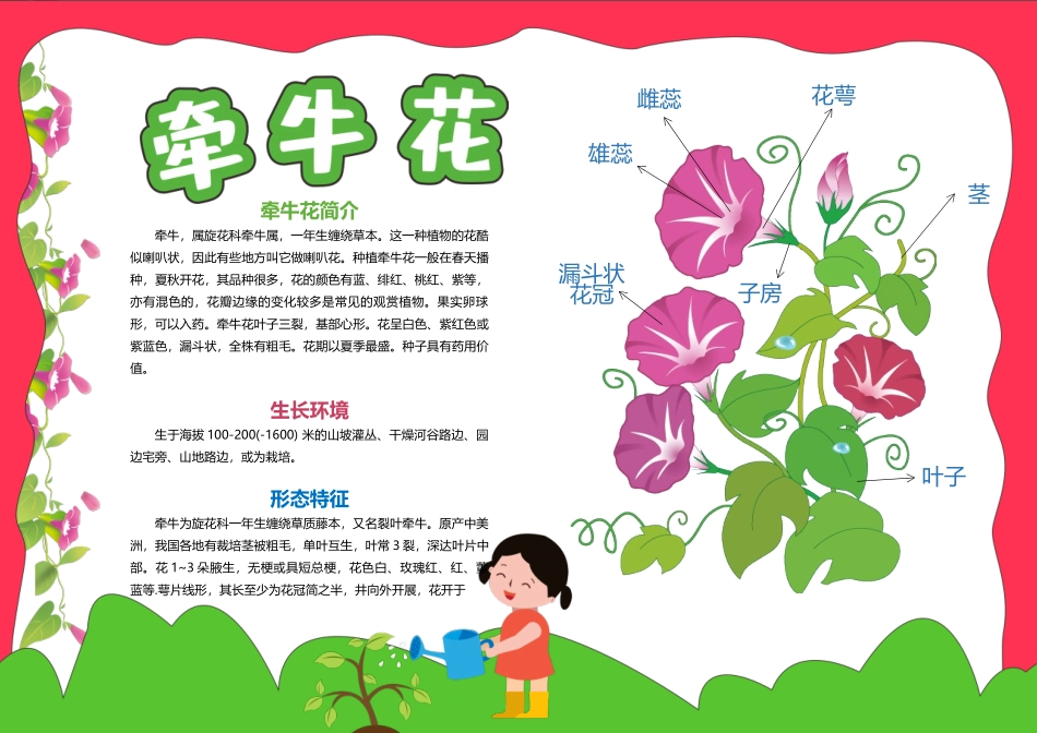 牵牛花介绍手抄报_第1页