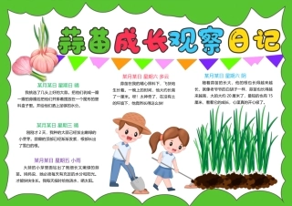 蒜苗成长观察日记
