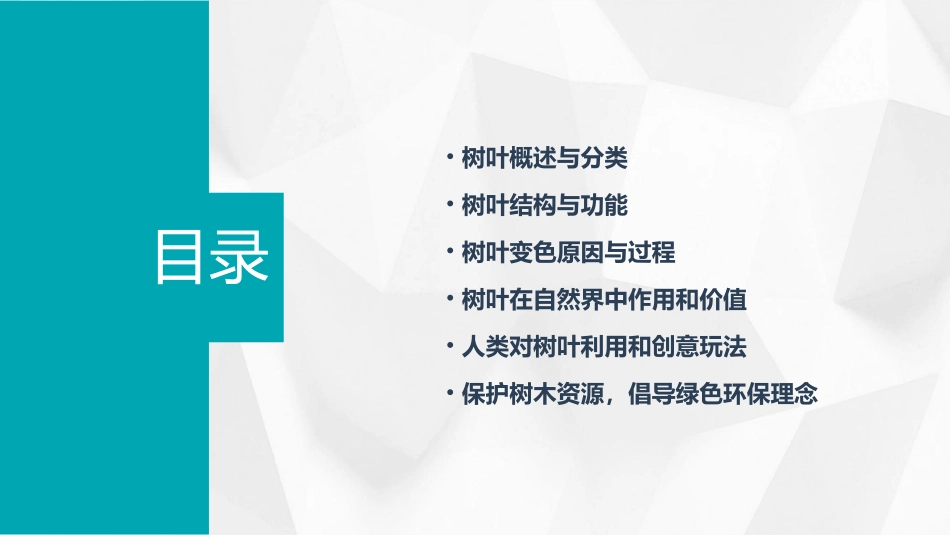 中班科学《有趣的树叶》PPT课件_第2页