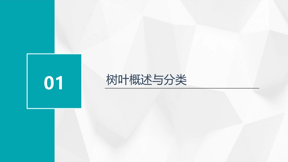中班科学《有趣的树叶》PPT课件_第3页