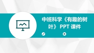 中班科学《有趣的树叶》PPT课件