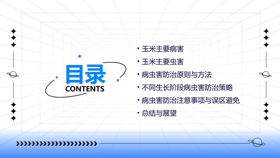 玉米主要病虫害及其防治详解_第2页