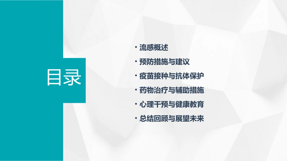 预防流感教学课件_第2页