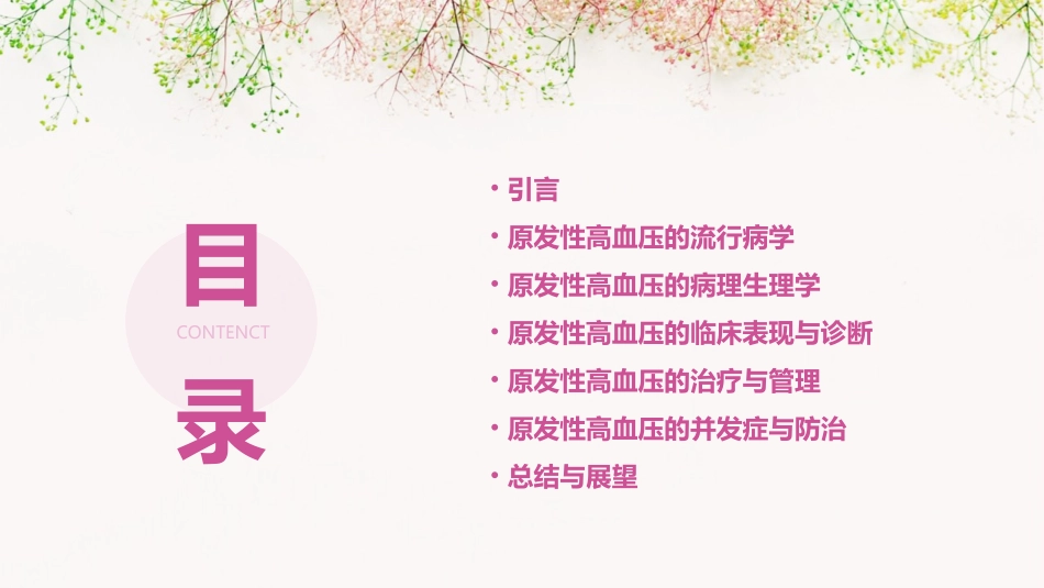 原发性高血压(高血压病)ppt课件_第2页