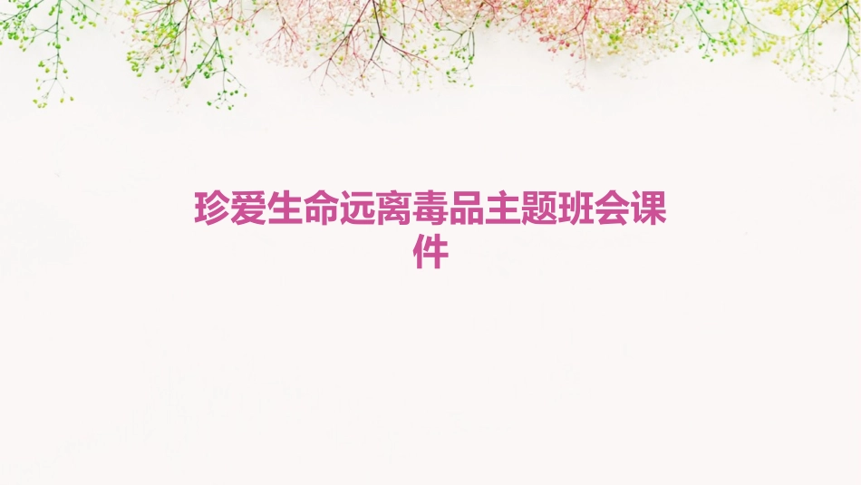 珍爱生命远离毒品主题班会课件_第1页