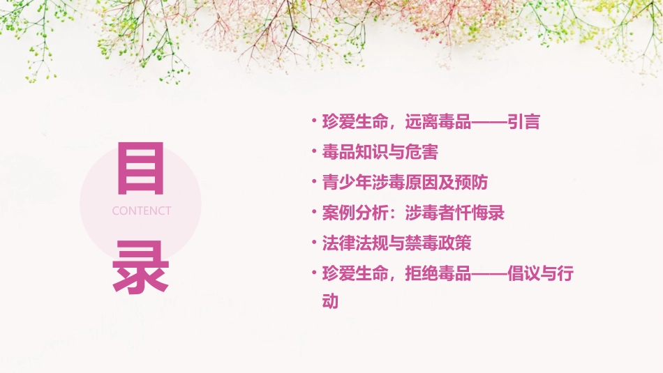 珍爱生命远离毒品主题班会课件_第2页