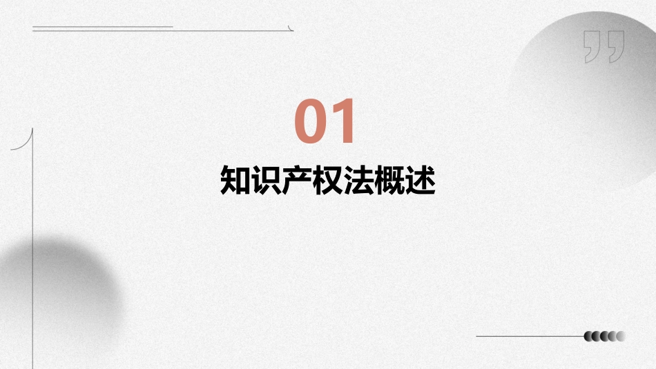 知识产权法全套课件(完整)_第3页