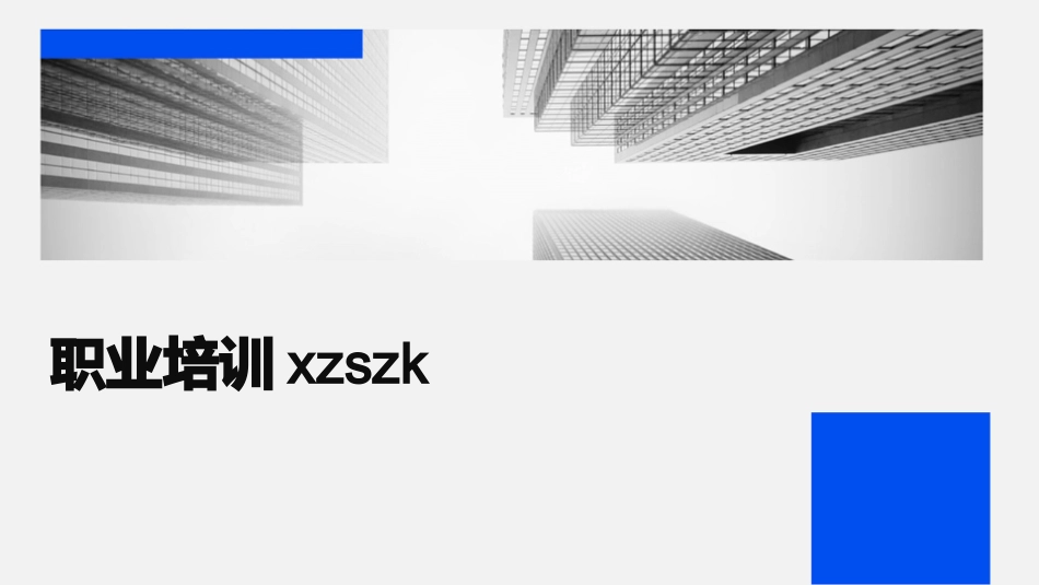 职业培训xzszk_第1页