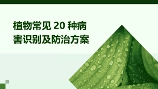 植物常见20种病害识别及防治方案