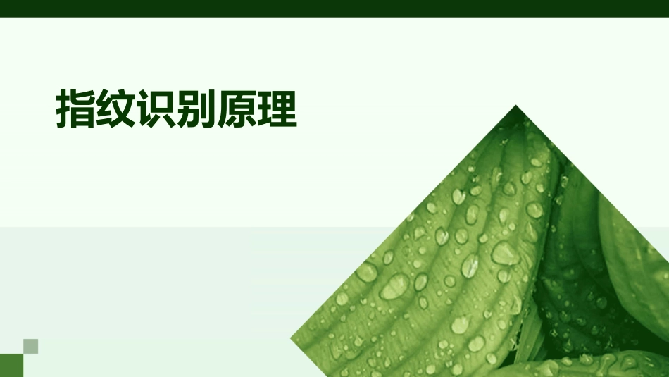 指纹识别原理_第1页