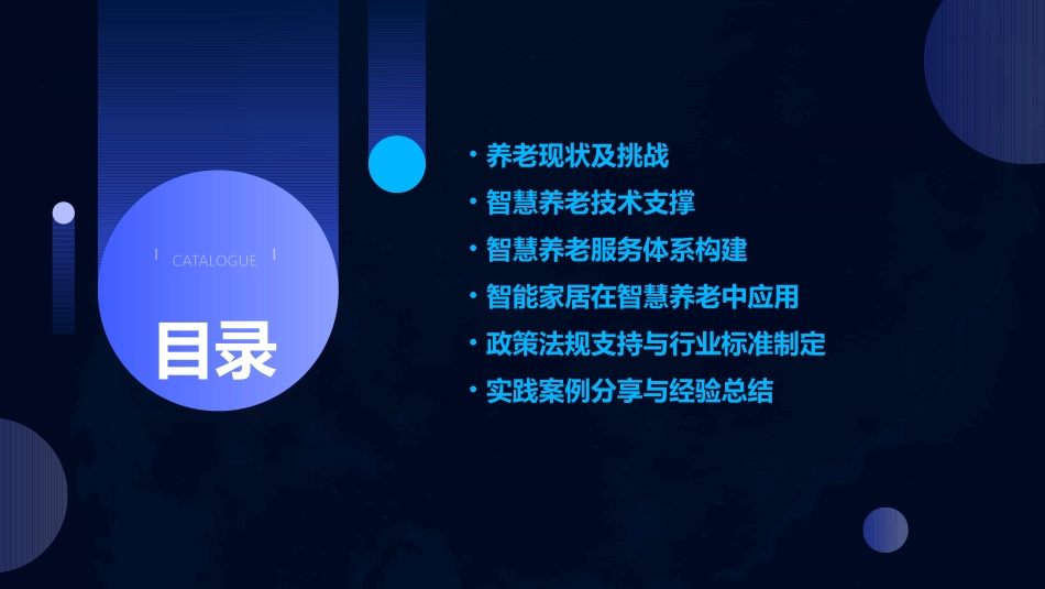 智慧养老解决方案_第2页